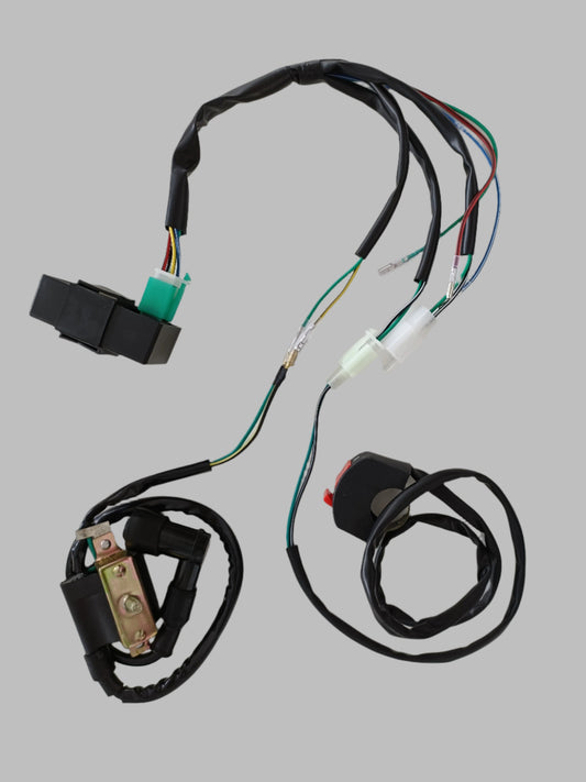 Complete Kick Start Engine Wire Wiring Harness Loom Kit 125cc PIT PRO Dirt Bike - My Store