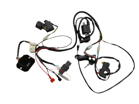 Basic Wire Wiring Harness Loom 150cc 250cc Engine PIT Quad Dirt Bike ATV Buggy - My Store