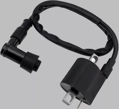Wiring Loom IGNITION CDI CONTROL UNIT COIL Magneto YAMAHA PW50 PY50 DIRT BIKE