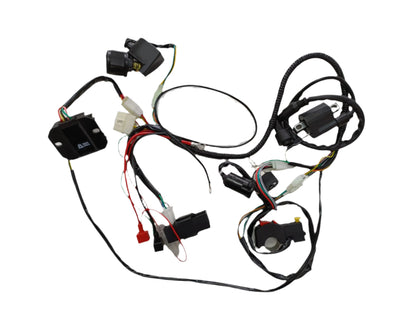 Basic Wire Wiring Harness Loom 150cc 250cc Engine PIT Quad Dirt Bike ATV Buggy - My Store