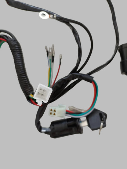Complete Electric Start Engine Wiring Harness Loom 110 125cc Quad Bike ATV Buggy - My Store