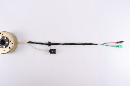 8 Pole Magneto Stator+ Flywheel GY6 125cc 150cc Quad Dirt Scooter Bike ATV Buggy - My Store