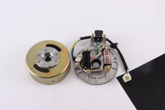 Magneto Stator Plate Roter Flywheel Set 110cc 125cc Kick Start PIT PRO Dirt Bike - My Store