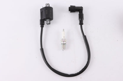 Ignition Coil  D8EA Spark Plug 150cc 200 250cc PIT Quad Dirt Bike ATV Buggy - My Store