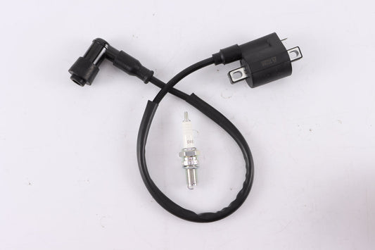 Ignition Coil  D8EA Spark Plug 150cc 200 250cc PIT Quad Dirt Bike ATV Buggy - My Store