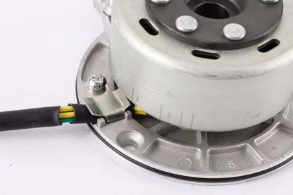 Magneto Stator Flywheel Rotor Kit YX 140cc 150cc 160cc PIT PRO Trail Dirt Bike - My Store