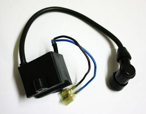Magneto Stator Coil Spark Plug 48cc 70cc 80cc Motorised Motorized Bicycle Engine - My Store