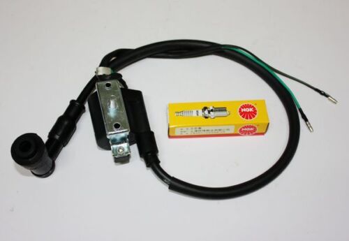 Ignition Coil + NGK C7HSA Spark Plug 110cc 125cc PIT Quad Dirt Bike ATV Buggy - My Store