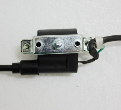 Ignition Coil + NGK C7HSA Spark Plug 110cc 125cc PIT Quad Dirt Bike ATV Buggy - My Store